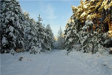 八方旅人2隐藏职业怎么解锁？歧路旅人2隐藏职业位置